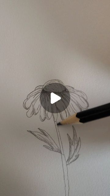 Easy Drawing Realistic, Animated Flowers Drawing, Pencil Drawing Inspiration Creativity, Drawing A Flower Easy, Drawing Daisy Flower, How To Draw A Butterfly On A Flower, Drawing A Daisy, Daisy Drawing Tutorial, Tutorial Flower Drawing