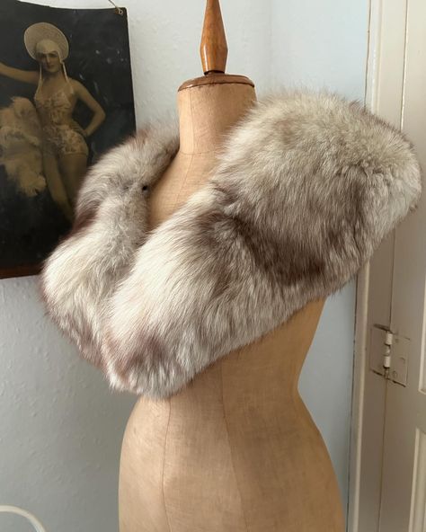 A couple of beautiful vintage fox fur stoles being listed today to add a touch of glamour to your winter wardrobe✨💅 #silverfoxfur #vintagefur #vintagefurstole #foxfurcollar #glamourous #elegant #dovimavintage #dovimabcn #etsyvintageshop Vintage Fur Stole, Vintage Fox, Fur Stole, Vintage Fur, Silver Fox, Fur Collars, Fox Fur, Winter Wardrobe, Vintage Shops