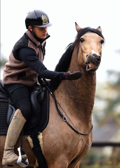 Jesse Drent, Pony Breeds, Equestrian, Horses