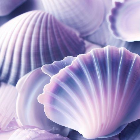 Mermaid Core Purple, Purple Sea Aesthetic, Purple Ocean Aesthetic, Periwinkle Purple Aesthetic, Purple Mermaid Aesthetic, Calypso Aesthetic, Sydney Aesthetic, Purple Pfps, Purple Seashell