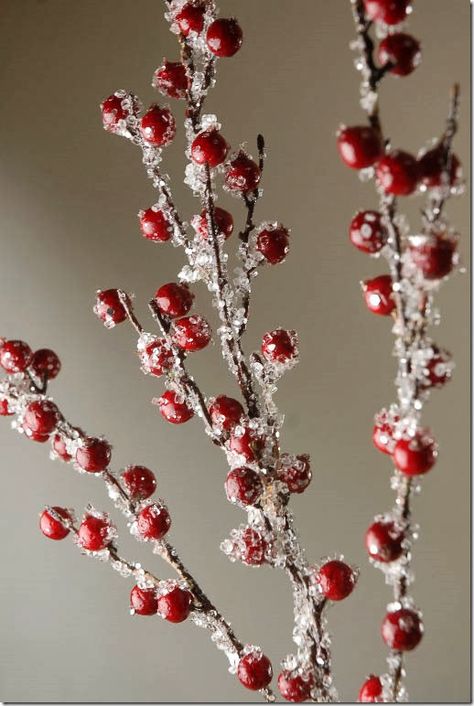 A WOODLAND CHRISTMAS DECORATING PLAN Frosted Cranberry Christmas Decor, Cranberry Decorations, Pretty Vases, Frosted Berries, Snowy Branches, Frosted Cranberry, Woodland Christmas Decor, Cranberry Christmas, Epson Salt