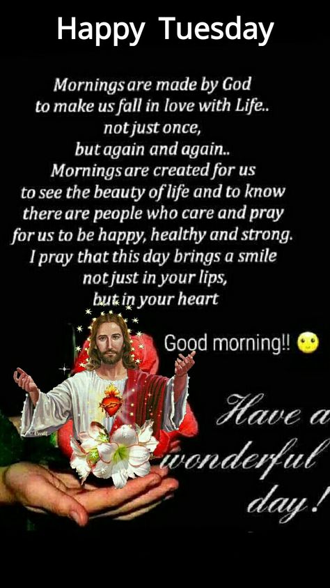 Morning Quotes Tuesday, Tuesday Morning Wishes, Tuesday Prayer, Good Morning Tuesday Wishes, Tuesday Morning Quotes, Tuesday Wishes, Prayer Morning, Happy Tuesday Images, Tuesday Vibes