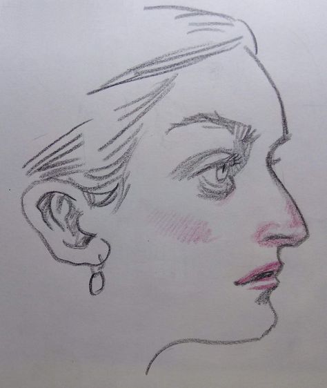 simple pencil drawing in black of  a woman's profile with a roman nose. shaded with red. she wears a earring and has small lips. Aquiline Nose, Hooked Nose, Female Drawing, Nose Drawing, Art Diary, Nose Art, The Nose, Woman Drawing, Drawing Base