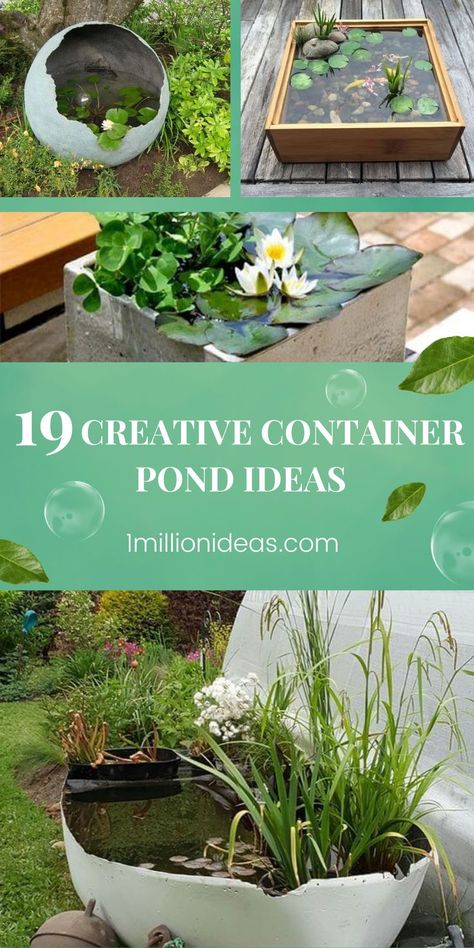 These container ponds are extraordinarily clever and versatile and will fit almost anywhere such as a small deck, rooftop garden, balcony. What’s more, they are made out of anything that you have at hand including an oversized planter, a galvanized tank, a plastic container, or even a large bowl, it all depends on the size of the pond you want. After reading the post, we hope that you will find one of the container pond ideas and some inspiration to start your own. Container Pond Ideas, Container Ponds, Large Bowl Planters, Plastic Pond, Galvanized Stock Tank, Container Pond, Galvanized Tub, Pond Ideas, Porcelain Planter