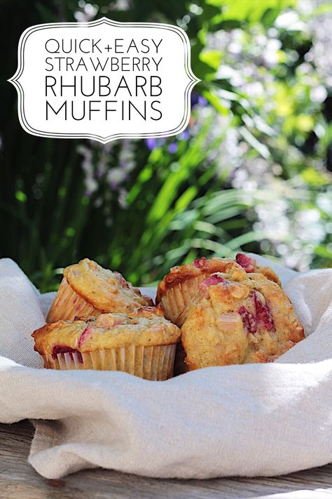 Quick Easy Healthy Strawberry Rhubarb Oatmeal Yogurt Muffins Oatmeal Greek Yogurt Muffins, Strawberry Rhubarb Oatmeal, Rhubarb Oatmeal Muffins, Healthy Rhubarb Recipes, Strawberry Rhubarb Muffins, Strawberry Rhubarb Recipes, Rhubarb Oatmeal, Greek Yogurt Muffins, Oatmeal Yogurt