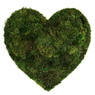 la vie est belle The Magicians Julia, Green Objects, Love In Cursive, Moss Letters, Iris Ring, Floating Garden, Love Heart Images, Moss Wall Art, Moss Art