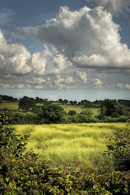 English Summer | Flickr - Photo Sharing! Photos Black And White, Clouds In The Sky, English Summer, Landscape Photography Tips, Countryside Landscape, Image Nature, Landscape Photography Nature, British Countryside, Country Landscaping