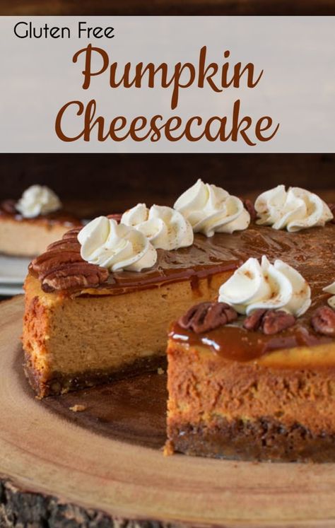 Award Winning Gluten Free Pumpkin Cheesecake Gluten Free Pumpkin Cheesecake, Aip Desserts, Gingersnap Crust, Pumpkin Cheesecake Recipes, Gluten Free Thanksgiving, Gluten Free Cheesecake, Thanksgiving 2020, Thanksgiving Meal, Fall Foods