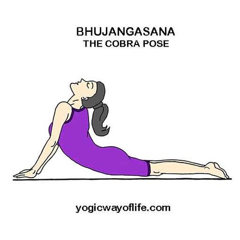 Bhujangasana - The Cobra Pose Bhujangasana Pose, Yoga Asanas Names, Cobra Pose Yoga, Kundalini Yoga Poses, 20 Minute Yoga, Corpse Pose, Yoga Lessons, Cobra Pose, Learn Yoga