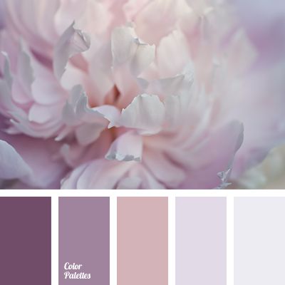 Pale shades of pink, lilac, brown and gray will perfectly fit the interior design in the room of a young amorous girl. Such gamma will underline that she i. In Color Balance, Flat Bedroom, Romantic Interior, Design Seeds, Color Balance, Pink Peony, Living Room Bathroom, Floral Color, Living Room Colors