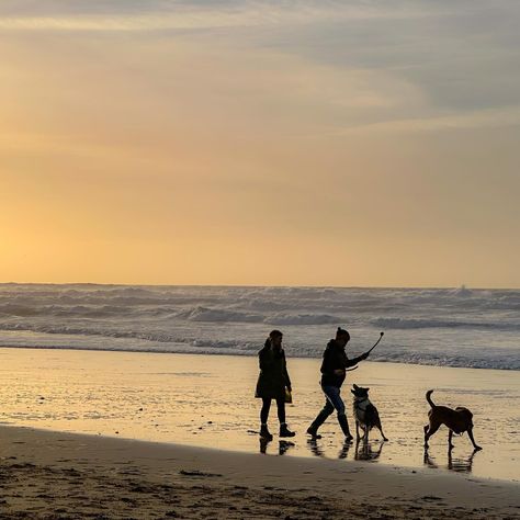 The best way to spend a winter evening (not tonight as it’s pouring!!) Wrapped up warm with a dog walk on Fistral Beach #dogwalkonthebeach #fistralbeach #fistral #dogwalkfistral #februarybeachwalk #sunsetdogwalk #sunsetdogwalks #fistralsunset #fistralsunset #newquaydogwalk #sunsetsilhouettes #sunsetdogsilhouettes Dog Walks Aesthetic, Holly Aesthetic, Fistral Beach, 2024 Diary, Sunset Winter, Beach Evening, Winter Beach, Winter Evening, Dog Walk