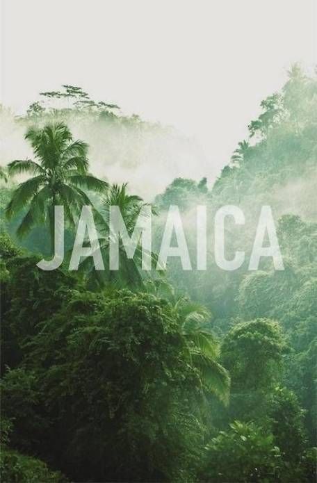 Jamaica Country, Reggae Mix, Jamaican Culture, Jamaica Vacation, Jamaica Travel, Caribbean Travel, The Windy City, Montego Bay, Caribbean Islands