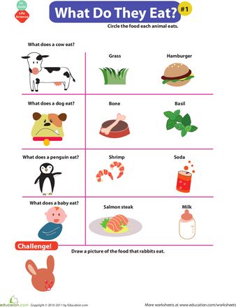 Students can use this activity to demonstrate an understanding of what different kinds of animals eat. It can be used as independent practice and it can be used to assess understanding of the concept. - MMB What Do Animals Eat Activities, Type Of Animals, What Animals Eat, What Do Animals Eat Worksheets, Animal Eating, Different Types Of Animals, Animal Worksheets, Interesting Topics, Animal Activities