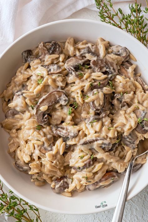 Creamy Mushrooms & Orzo — The Yummy Vegan Vegan Mushroom Orzo Recipes, Vegan Mushroom Orzo, Creamy Vegan Orzo, Orzo Recipes Healthy Vegetarian, Orzo Vegan Recipes, Orzo Mushroom Recipes, Mushroom Orzo Recipes, Vegan Birthday Dinner, Vegan Orzo Recipes