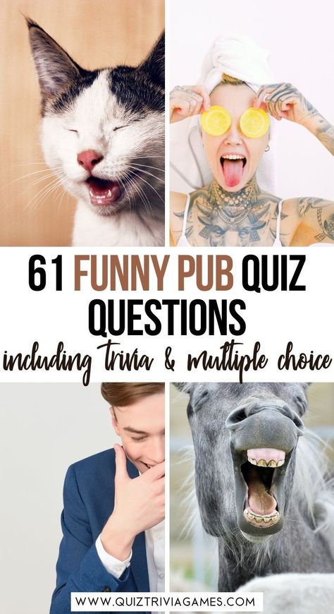 Family Quiz Questions, Trivia Questions For Adults, Funny Trivia Questions, Funny Quiz, Funny Quiz Questions, Pub Quiz Questions, Pub Quizzes, General Knowledge Quiz Questions, Family Quiz