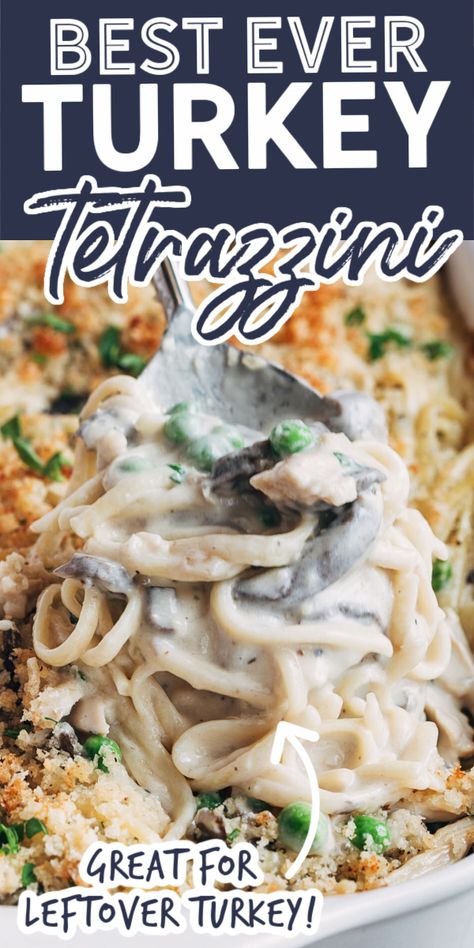 Best Ever Turkey, Turkey Tetrazzini Recipe, Turkey Casserole Recipe, Chicken Tetrazzini Recipes, Turkey Tetrazzini, Turkey Casserole, Leftover Turkey Recipes, Cozy Dinner, Turkey Dishes