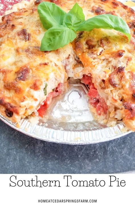 Southern Tomato Pie is the ultimate comfort food made with fresh garden tomatoes, bacon, caramelized onions, fresh basil, and topped with a gooey cheese mixture. #southernpie #southerntomatopie #tomato #tomatopie #sidedish #bacontomatopie Southern Living Tomato Pie Recipe, Tomatoe Pie Recipes, Bisquick Tomato Pie Recipe, Tomato Pie With Bacon, Tomato Pie Recipe Easy, Best Tomato Pie, Meatless Entrees, Saturday Dinner, Southern Tomato Pie