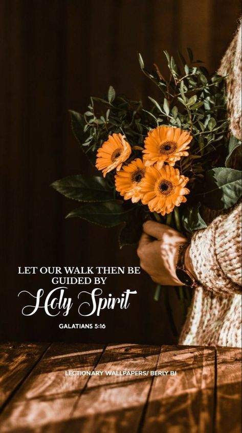 Holy Spirit Quotes, Academia Quotes, Galatians 5 16, Walk In The Spirit, Wallpaper Bible, Bible Verse Background, Hd Quotes, Amplified Bible, Beautiful Bible Verses