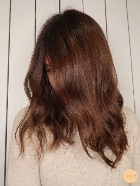 Long Bob Shaggy Layers, From Light To Dark Hair, Light To Dark Hair, Summer 2020 Hair Color Trends, Fall Haircolor, Rose Highlights, Light Brown Hair Shades, Fall Brunette, Brown Hair Cuts