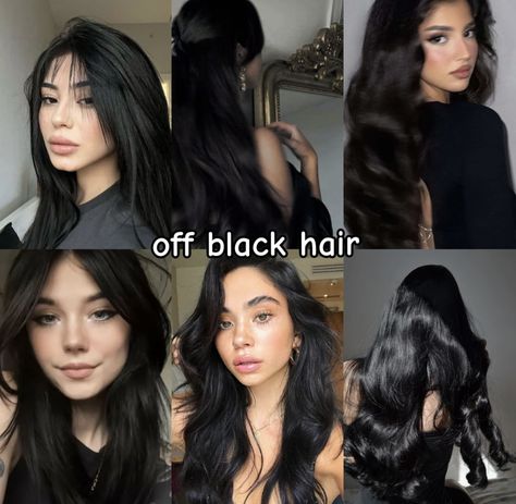 Soft Cool Black Hair, Different Black Hair Colors Shades, Different Tones Of Black Hair, Black Hair For Olive Skin Tone, Black Hair Undertones, Black Hair Dye Colors, Different Types Of Black Hair, From Brown To Black Hair, Black Haired Beauty