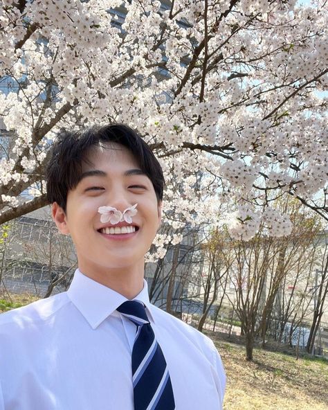 Kim hyun jin Kim Hyun Jin, Hyun Jin, Kim Hyun, Cherry Blossom, Blossom, Cherry