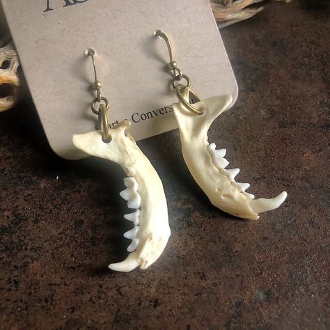 "-These fierce earrings are made from 2 authentic weasel jawbones. Each jawbone contains approximately 5 teeth. -The earrings dangle at 2.25\" in total length. -Earwires are antique-brass. Goldfill earwires are available by request. -Weasel was not harvested for jewelry. -Due to the natural materials used, jawbones may vary slightly in length and color from the images here. Rest assured that each pair is hand-picked by the designer, and earrings can be easily exchanged if unsatisfactory. -Design Animal Bones Jewelry, Unique Jewelry Earrings, Mouse Bone Jewelry, Animal Teeth Jewelry, Bones Jewelry, Animal Bone Jewelry, Teeth Earrings, Creepy Earrings, History Jewelry