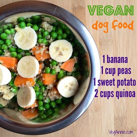 Healthy Veggie Dip, Dog Meals, Vegetarian Dog Food Recipe, Vegan Dog Food, Dog Food Recipe, Dog Supplement, Veggie Kabobs, Vegan Dog, Food Dog