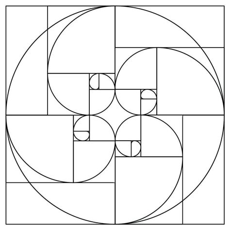 Golden Ratio Design Graphics, How To Draw Golden Ratio, Golden Ratio Drawing, Kindergarten Patterns, Fibonacci Design, Golden Ratio Art, Fibonacci Art, Fibonacci Sequence, Fibonacci Spiral