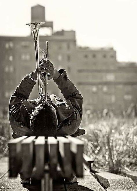 Trumpetist Musician Headshots, Arte Jazz, Musician Portraits, Jazz Blues, George Orwell, Jazz Festival, Foto Art, Senior Pics, Black White Photos