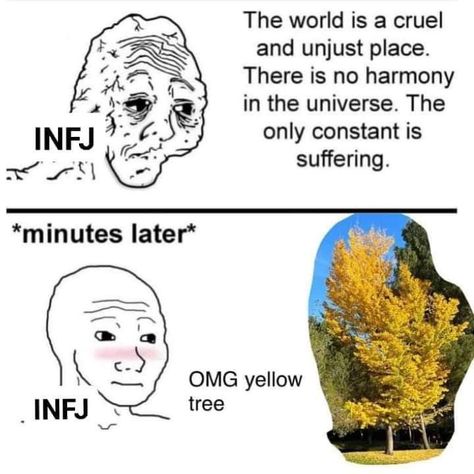 Infj Meme Funny, Infj T Personality, Infj 6w5, Infj And Intj, Infj X Entp, Infj Meme, Infj Female, Entp X Infj, Infj 16 Personalities