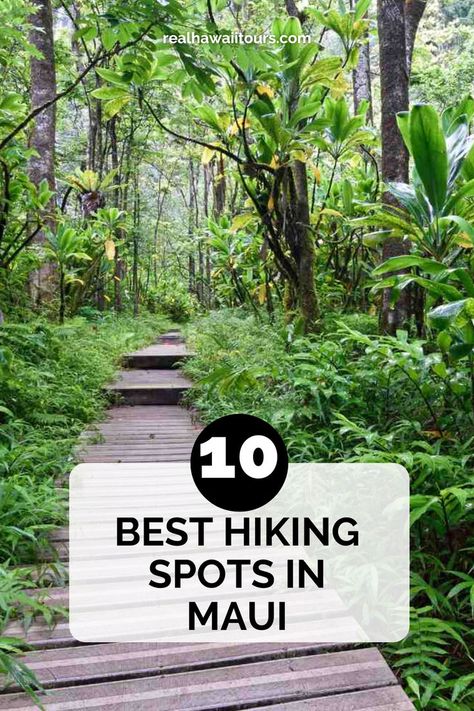 Discover the 10 best hikes in Maui, offering stunning views of lush rainforests, waterfalls, and volcanic landscapes. Whether you’re seeking an easy coastal walk or a challenging mountain trail, Maui has something for every level of hiker. Click here to explore the top trails and start planning your adventure! Hikes In Maui, Maui Travel Guide, Maui Itinerary, Hawaii Hikes, Waterfall Trail, Maui Travel, Mountain Trail, Hiking Spots, Waterfall Hikes