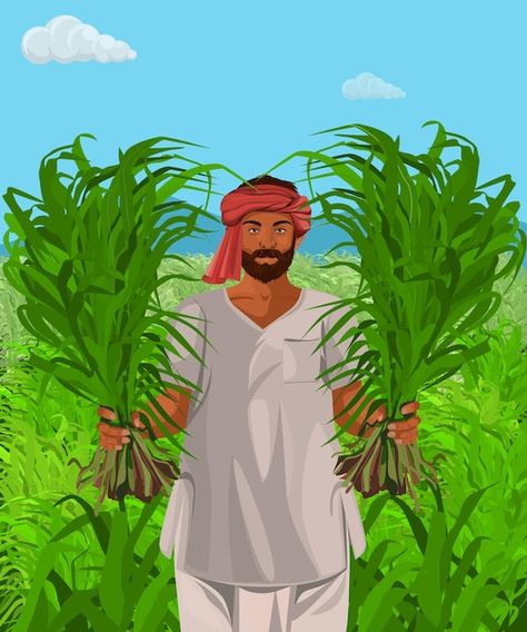 Indian farmer with crops in hand illustr... | Premium Vector #Freepik #vector #indian-farmer #village-people #farmer-cartoon #farmer Indian Cow Illustration, Farmer Working In Field Drawing, Indian Farmer Illustration, Indian Farmer Drawing, Farmers Illustration, Farmer Pictures, Farmer Image, Farmer Drawing, Farmer Cartoon