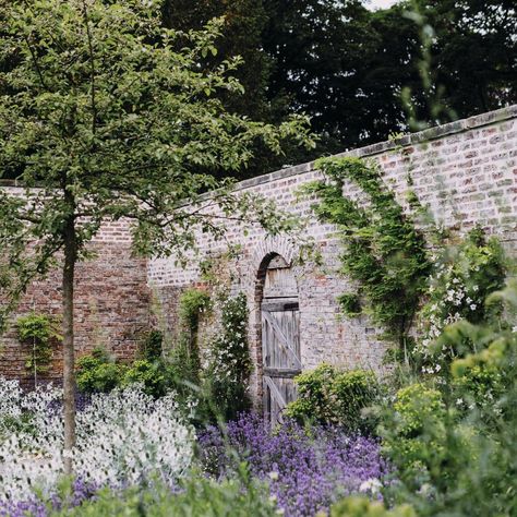 A walled kitchen garden in North Yorkshire designed by Tom Stuart-Smith - Gardens Illustrated Tom Stuart Smith, Prairie Garden, Landscaping Inspiration, Border Plants, Walled Garden, Most Beautiful Gardens, Wildflower Garden, French Garden, Public Garden