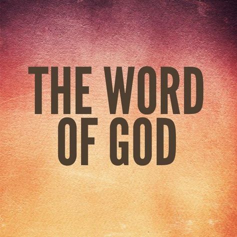 The Word Of God Quotes, Rhetorical Question, Words Of Jesus, Bible Illustrations, Gods Word, Inspirational Quotes God, Quotes God, Special Words, The Word Of God