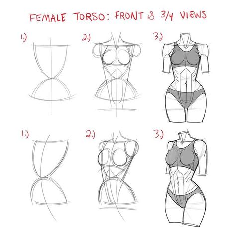 Figure Drawing Tutorial, Drawing Anime Bodies, Drawing Anatomy, Human Body Drawing, Drawing Female Body, Perspective Drawing Lessons, Points Of View, Female Torso, Male Torso