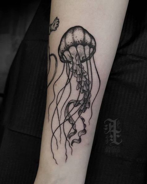 Rib Tattoo Placements, 16 Tattoo, Funky Tattoos, Jellyfish Tattoo, Stylish Tattoo, Theme Tattoo, Intricate Tattoo, Shark Tattoos, Cute Little Tattoos