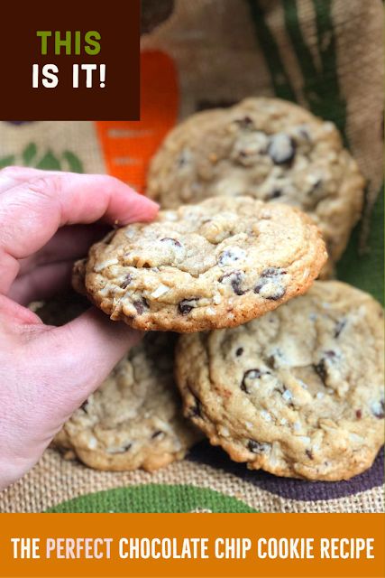 Salty Chocolate Chip Cookies, Perfect Chocolate Chip Cookie Recipe, The Perfect Chocolate Chip Cookie, Chocolate Chip Cookie Recipes, Cookies From Scratch, Easy Chocolate Chip Cookies, Perfect Chocolate Chip Cookies, Chocolate Chip Cookie Recipe, Chip Cookie Recipe