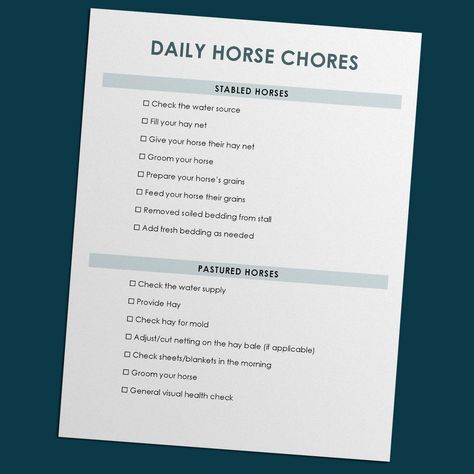 Free Editable Daily Horse Chore Checklist – Printable PDF & Editable .doc Chore Checklist Printable, Horse Barn Chores List, First Time Horse Owner Checklist, Horse Conditioning Plan, Horse Information Sheet, Chore List Printable, Horse Riding Lessons Plans, Horse Show Ribbons, Chore Checklist