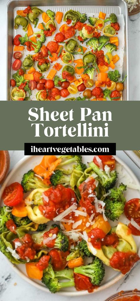 This sheet pan tortellini meal is so quick and easy to assemble — there's no boiling required! Store bought tortellini roasts on the pan with a rainbow of veggies for a hands-off dinner that is so delicious! Tortellini With Veggies, Sheet Pan Tortellini And Sausage, Tortellini Sheet Pan Dinner, Sheet Pan Tortellini, Lazy Lasagna Recipe, Dinner Casserole Recipes, Chicken Tortellini, Tortellini Recipes, Skinnytaste Recipes