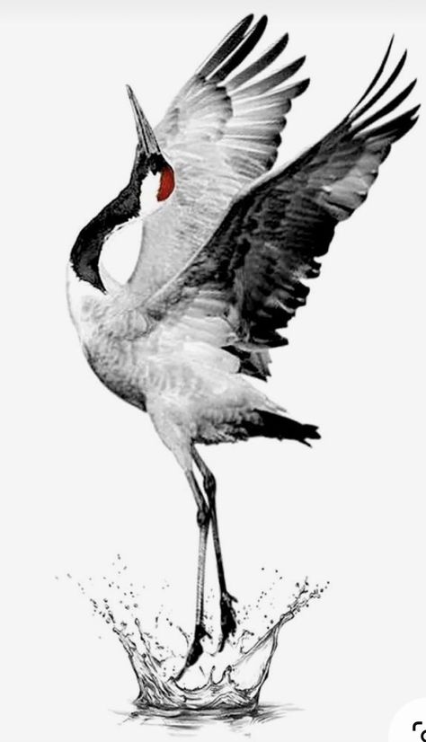 Japanese Geisha Drawing, Crane Painting, Crane Drawing, Crane Tattoo, Vogel Tattoo, Wrist Tattoo Ideas, Black Bird Tattoo, Animal Tattoo Ideas, Heron Art