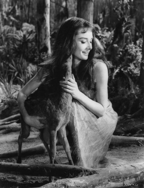 26 Enchanting and Candid Photographs of Audrey Hepburn With Her Favorite Pet Fawn Named Pippin a.k.a Ip ~ Vintage Everyday Audrey Hepburn Outfit, Pet Deer, Audrey Hepburn Born, Aubrey Hepburn, Audrey Hepburn Photos, Audrey Hepburn Style, Hepburn Style, Actrices Hollywood, Oh Deer