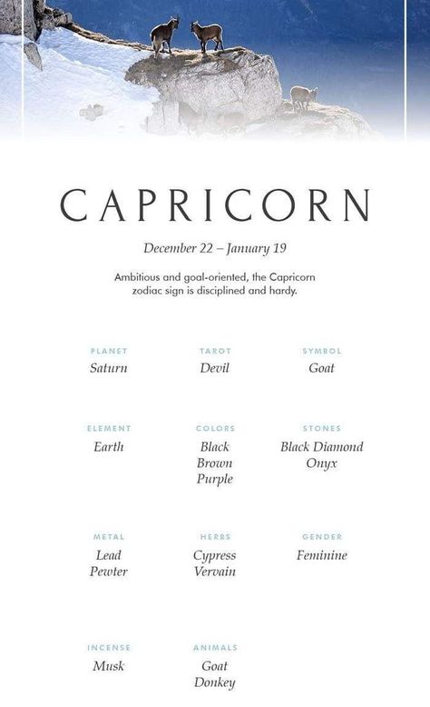 Herbs For Capricorn, Zodiac Capricorn, Black Diamond, Stone Color, Zodiac Signs, Herbs