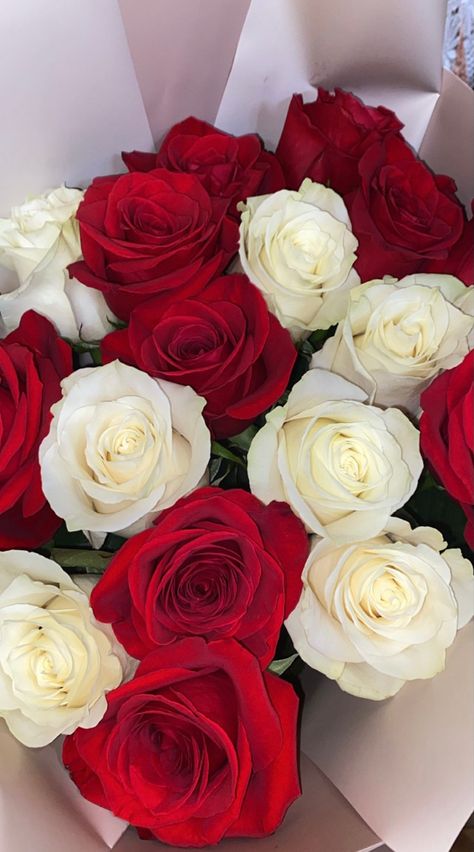 Flowers Present, Roses Bouquet Gift, Rose Flower Photos, Red Roses Wallpaper, White Rose Bouquet, Red And White Flowers, Rose Flower Wallpaper, Flowers Instagram, Red And White Roses