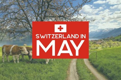 Switzerland in May: Everything You Need to Know Switzerland In May, Skiing Tips, Switzerland Vacation, Weather Snow, Zermatt Switzerland, Summer 2025, Switzerland Travel, Lake Geneva, European Vacation