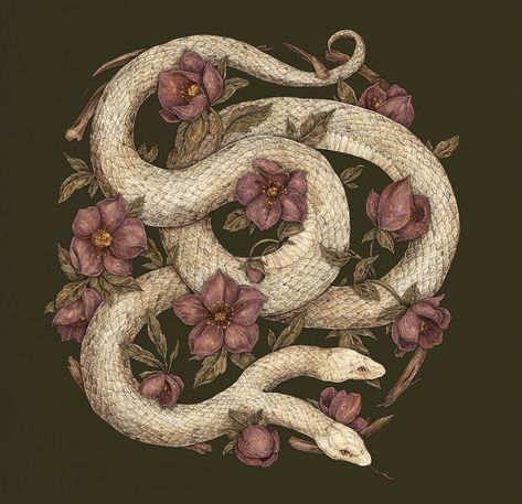 jessica roux snake, snake, nature, illustration, art, decoration, reptile, basket, design, retro, still life, flower, print, image, rope Jessica Roux Illustration, Snake Art Design, Beer Label Illustration, Snake And Flowers, Snake Art, 다크 판타지, Arte Sketchbook, Art Et Illustration, Arte Animal