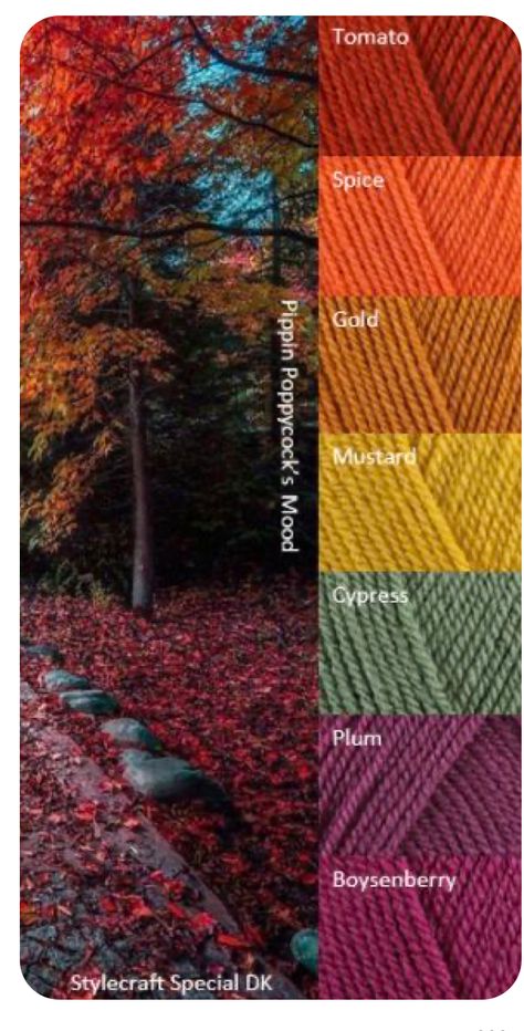 Stylecraft Colour Palette, Fall Yarn Color Combinations, Crochet Blanket Autumn Colours, Autumn Yarn Colors, Fall Crochet Color Combos, Fall Season Color Palette, Fall Colors Crochet Blanket, Fall Color Palette 2023, Fall Yarn Color Palette