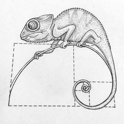 Chameleon Line Tattoo, Chameleon Drawing Realistic, Chameleon Line Drawing, Camilion Tattoos, Camelions Drawing, Chameleon Sketch, Chameleon Drawing, Lizard Drawing, Fibonacci Spiral Art