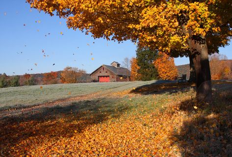 Fall Foliage Road Trips, England Countryside, Scenic Road Trip, Leaf Peeping, New England Fall, Scenic Roads, Autumn Drives, Scenic Byway, Scenic Routes