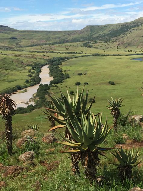 Eastern Cape, South Africa South Africa Aesthetic, Eastern Cape South Africa, Moon Ocean, Beautiful Scenery Pictures, South Africa Travel, Eastern Cape, Scenery Pictures, Southern Africa, Africa Travel