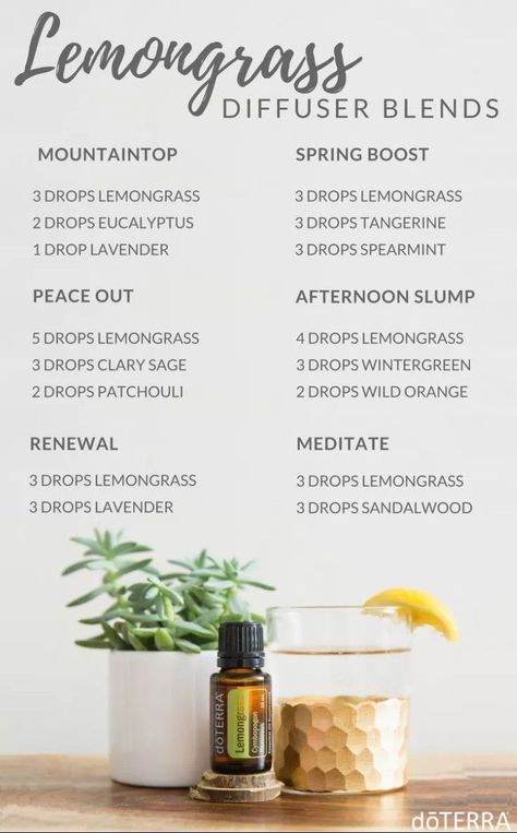 Lemongrass Diffuser Blends, Lemongrass Essential Oil Uses, Doterra Lemongrass, Doterra Diffuser, Doterra Diffuser Blends, Essential Oil Combinations, Doterra Essential Oils Recipes, Essential Oil Diffuser Blends Recipes, Young Living Essential Oils Recipes